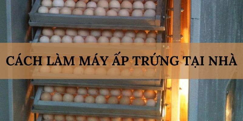 Banner www.vemep.com