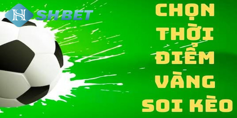 Banner www.vemep.com