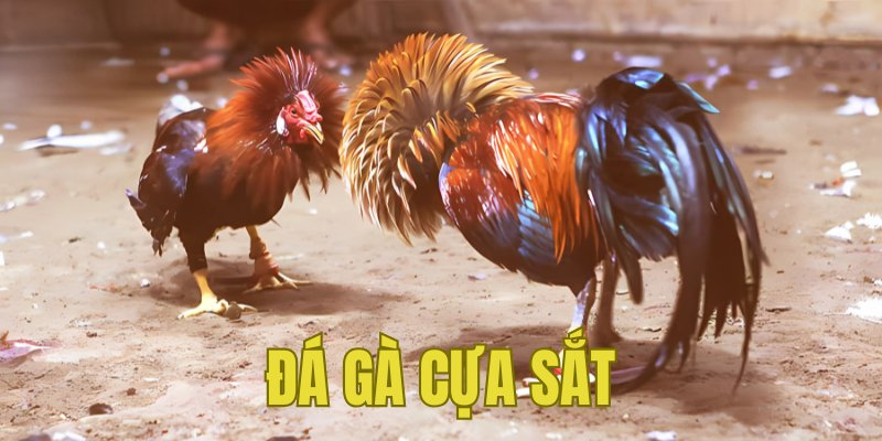 Banner www.vemep.com