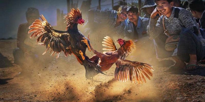 Banner www.vemep.com