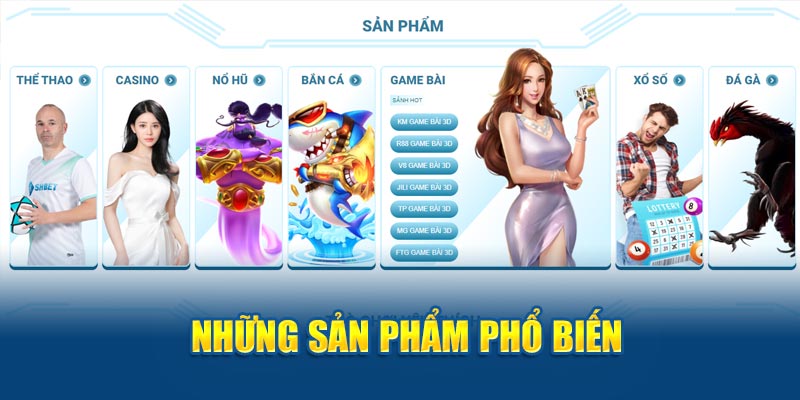 Banner www.vemep.com
