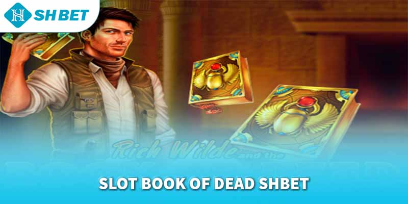 Banner www.vemep.com