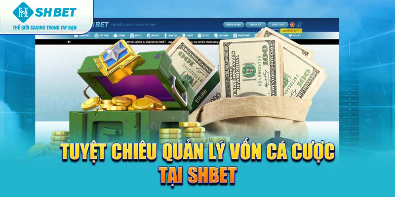 Banner www.vemep.com